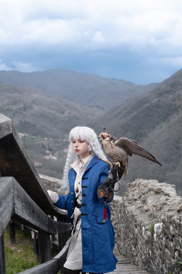 Griffith 写真集